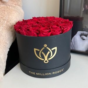 The Million Roses